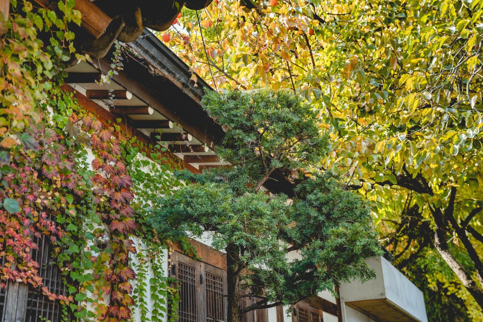 Hotelarrive Jeonju Sihwayeonpung Exterior foto